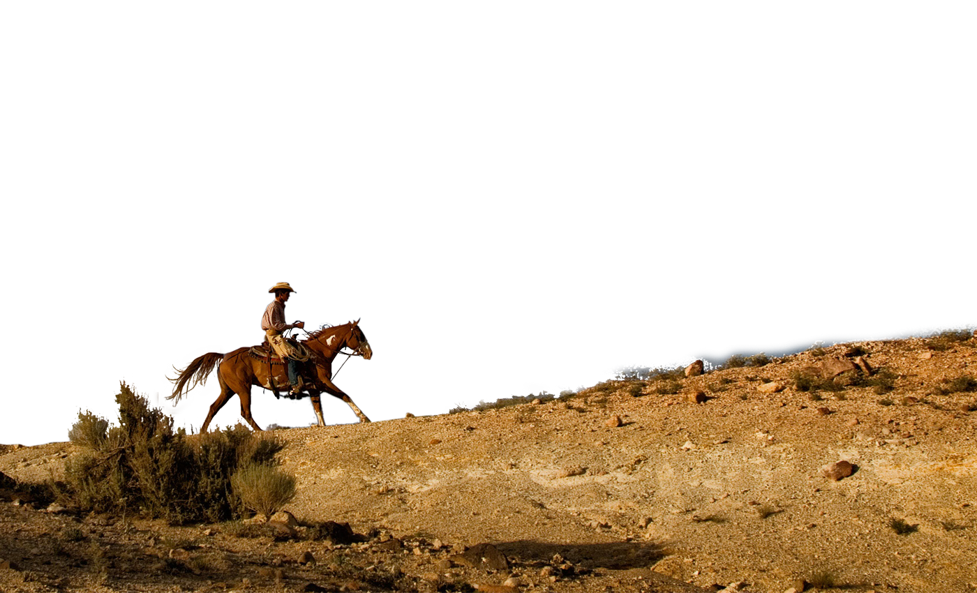 Cowboy & Dude Ranch Vacation - Rockin' R Ranch