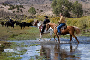 guides riding horses through a pond