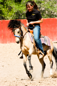 Girl riding a horse in the arena