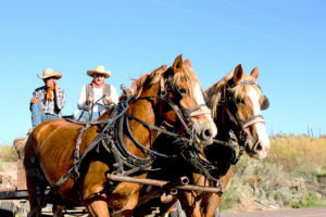 Horse hayride