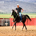 Man riding a horse in the arena