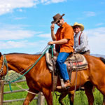 Friends on their horses