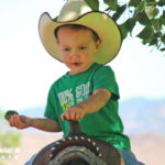 Little boy picking leaves while he horseback rides