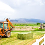 Tractors at the Rockin R