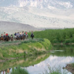 Horseback ride along the stream