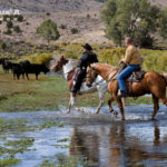 Horseback riding through water