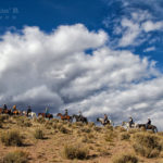 Horseback riding up a mountain