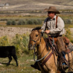 Man riding his horse