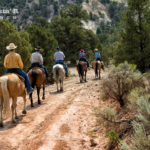 Horseback riding down the trail