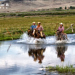 Cowboys riding through water on their horses