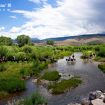 Horseback riding group crossing a river