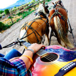 Hayride with horses